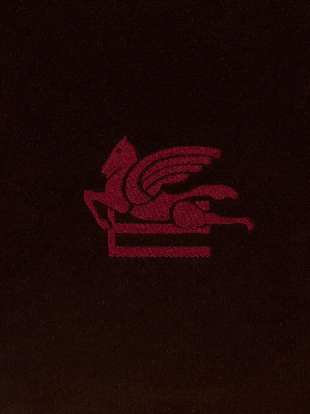 Etro Home Pegaso-embroidered Cushion (45cm X 45cm) In Multi