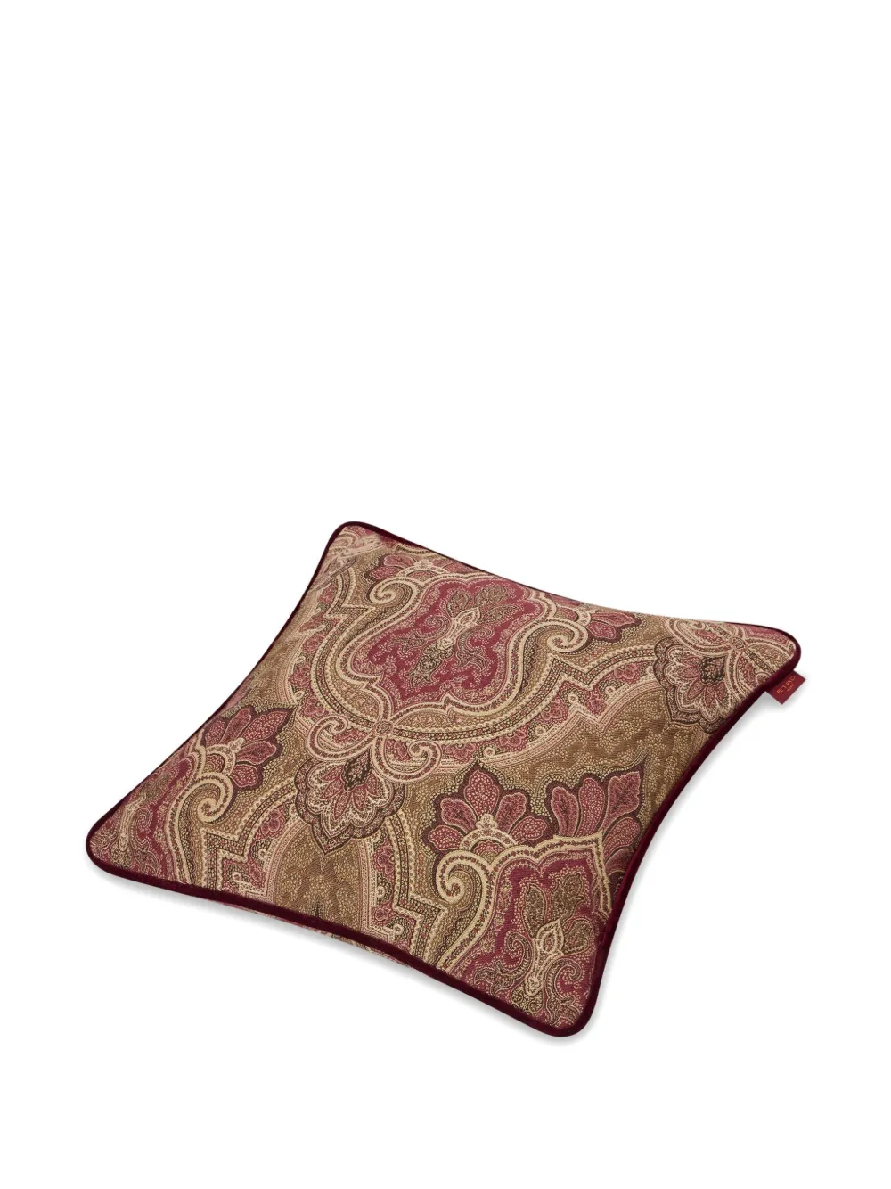 Etro Home Paisley-print Cushion (45 X 45cm) In Multi