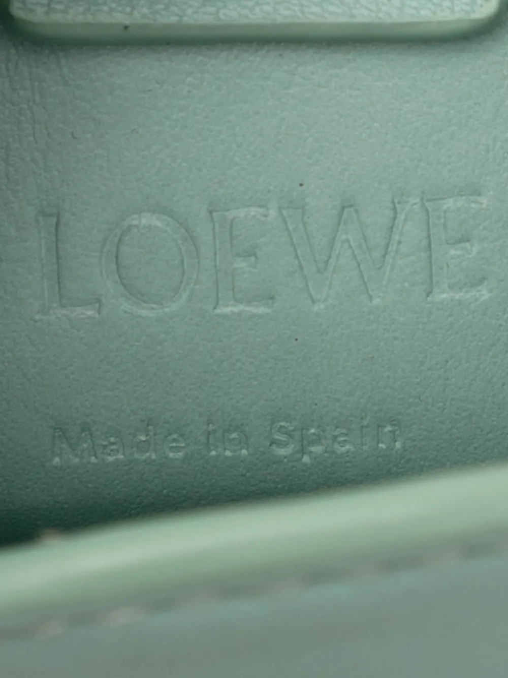 LOEWE Pre-owned 2022 Leather Elephant Pocket Crossbody Bag In Green