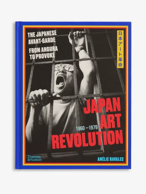 THAMES E HUDSON Japan Art Revolution: The Japanese Avant-Garde book