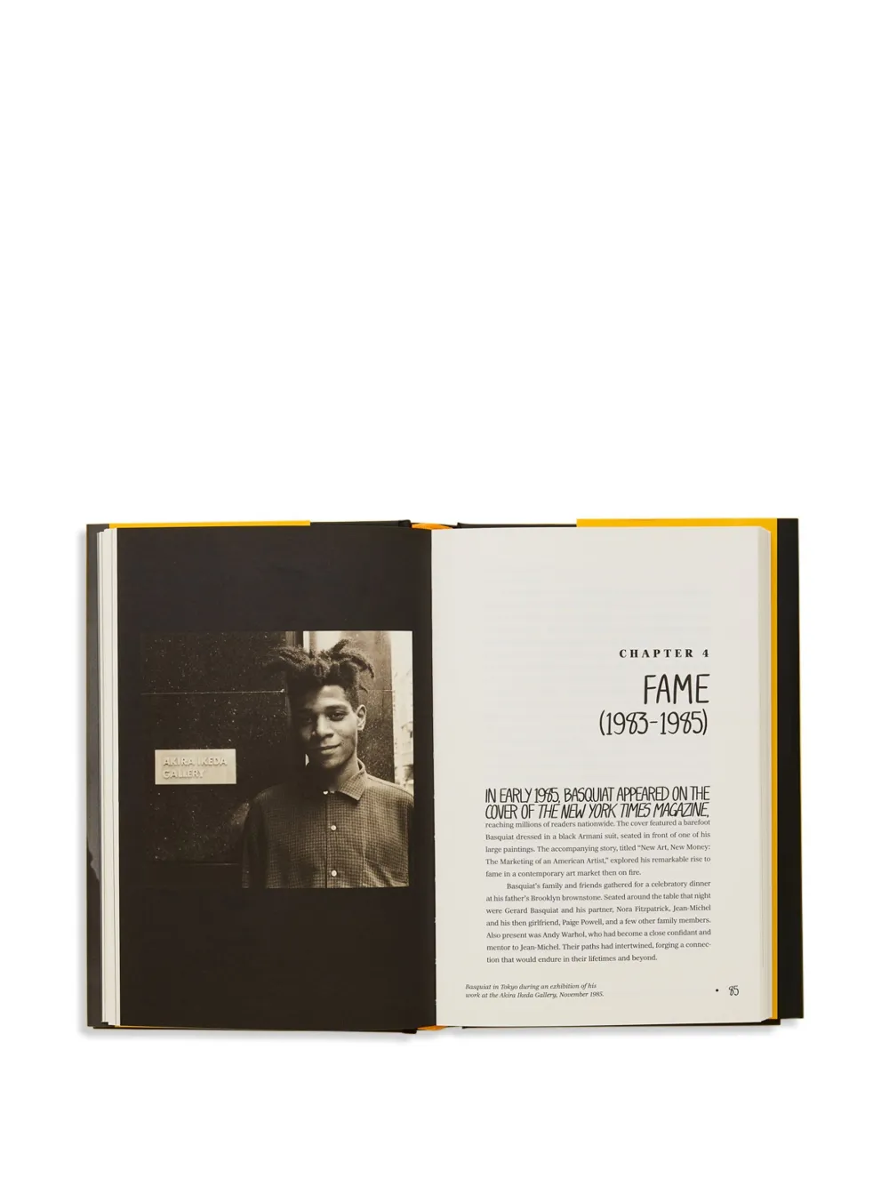 Thames E Hudson Jean-michel Basquiat: The Making Of An Icon Book In Gray