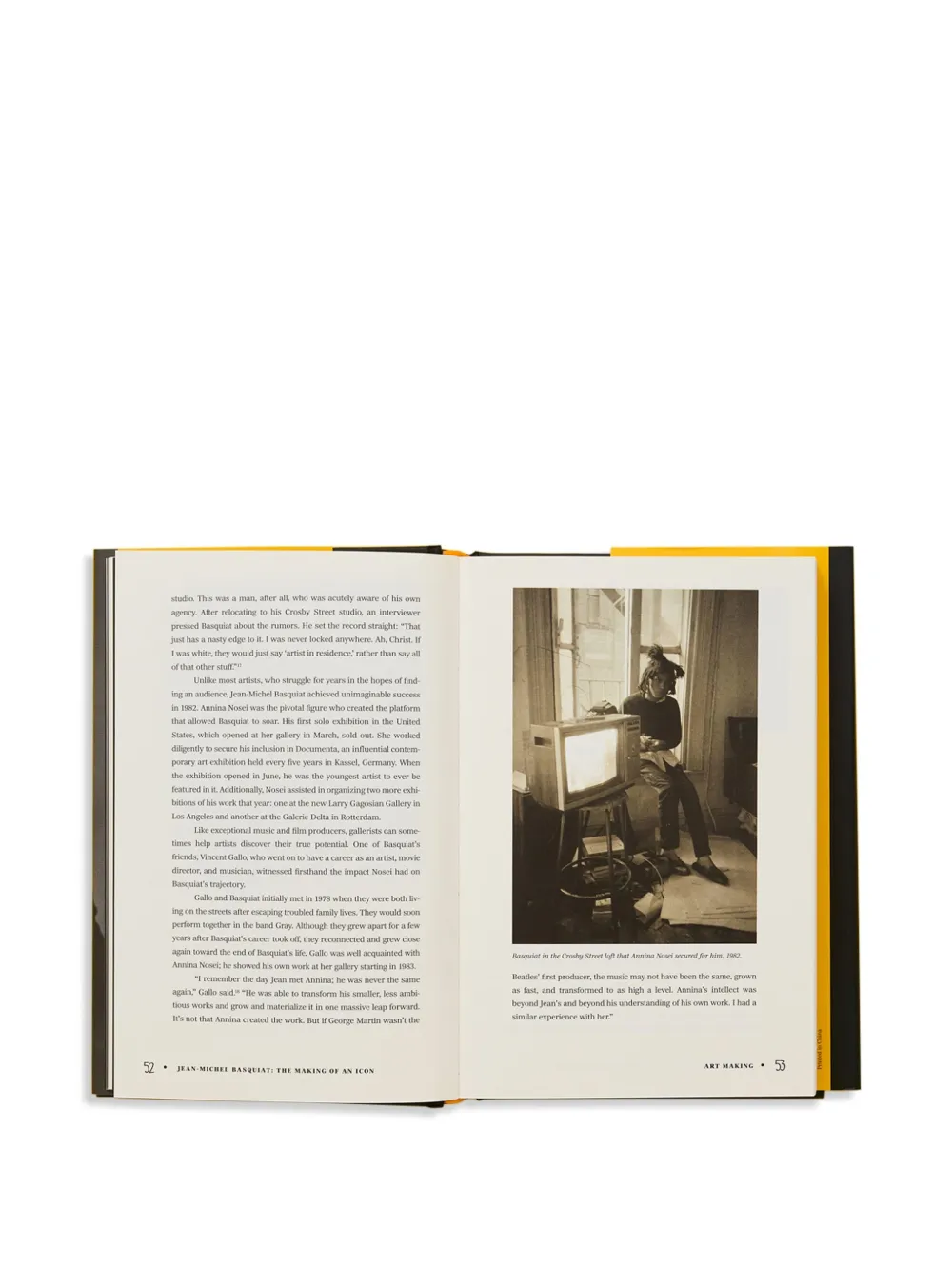 Thames E Hudson Jean-michel Basquiat: The Making Of An Icon Book In Gray