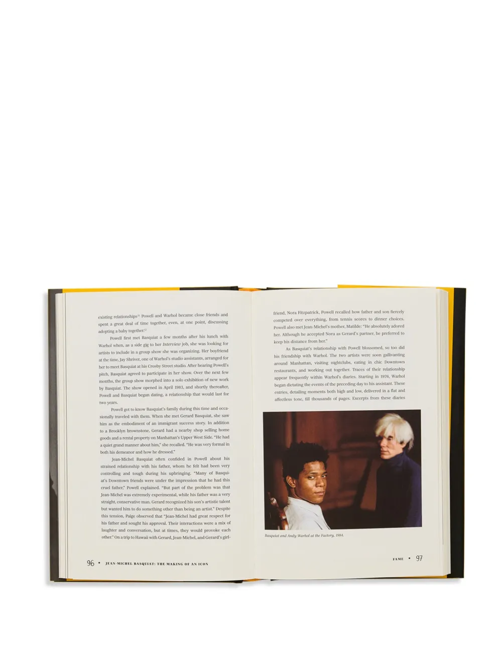 Thames E Hudson Jean-michel Basquiat: The Making Of An Icon Book In Gray