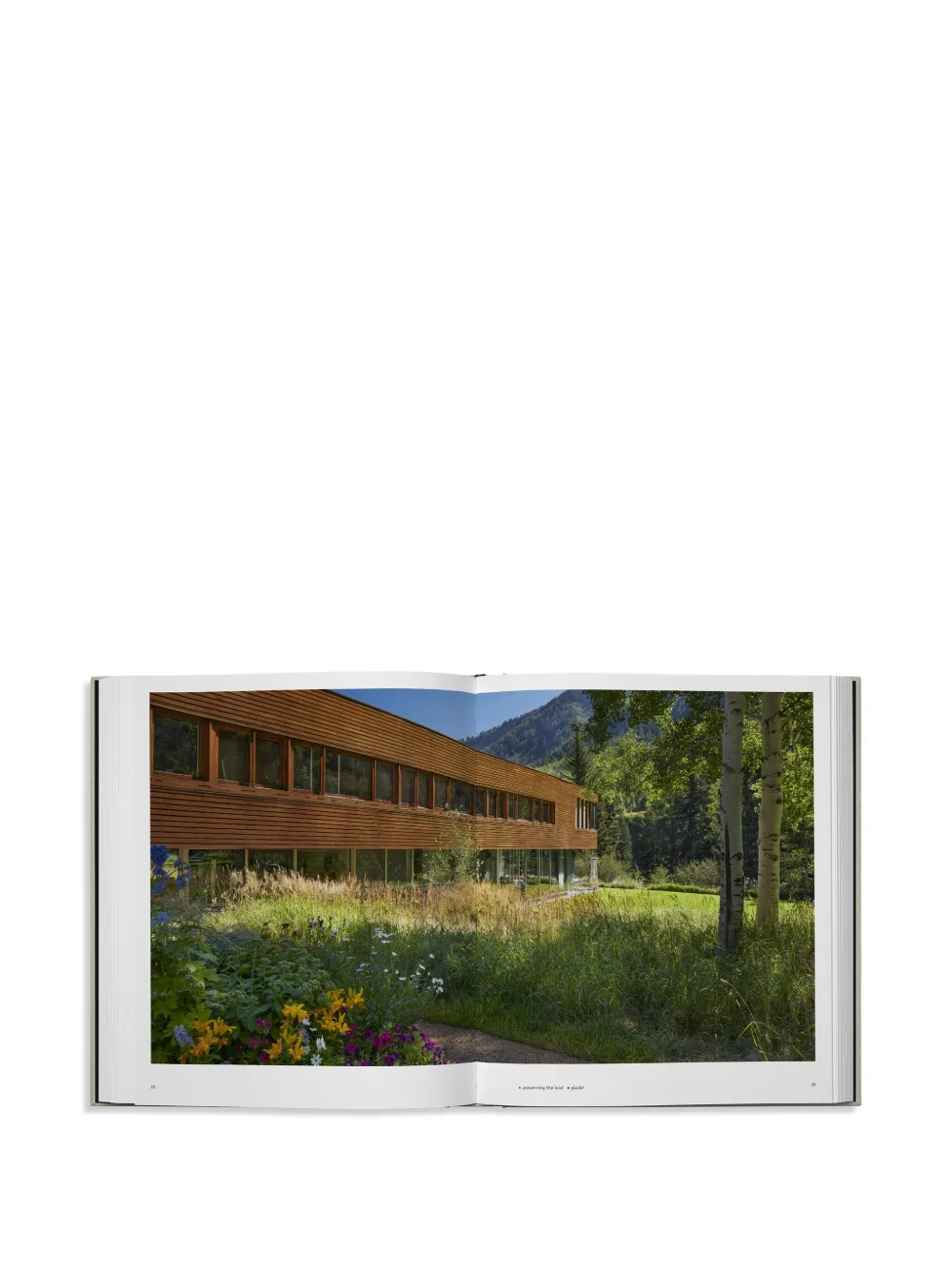 Phaidon Press Private Aspen: Modernism In The Mountains Hardcover Book In Neutral