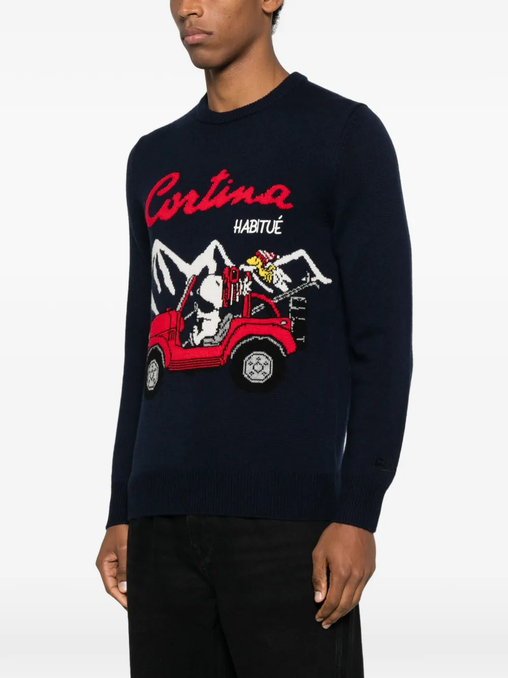 Mc2 Saint Barth X Peanuts Heron Sweater In Black