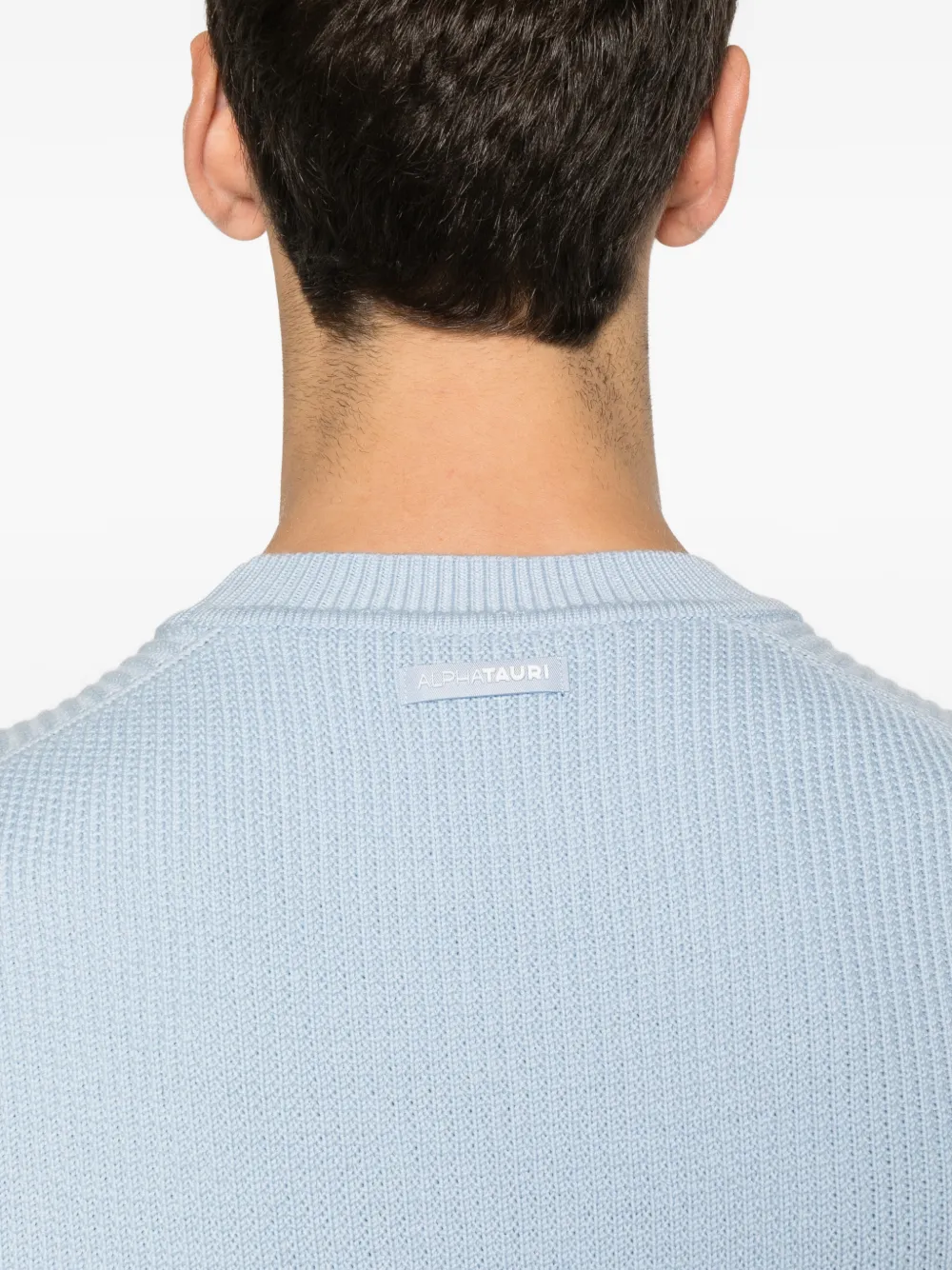 Alphatauri Fox Sweater In Blue