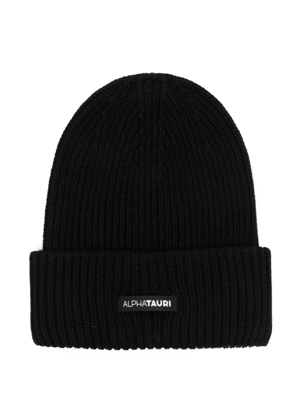 Alphatauri Ari logo-patch beanie | Black | Image 1