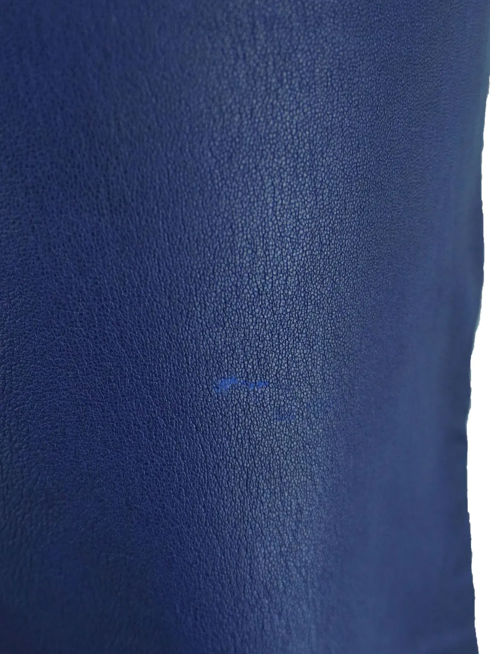 ROBERTO CAVALLI VINTAGE Pre-owned Logo-detail Leather Trousers In Blue