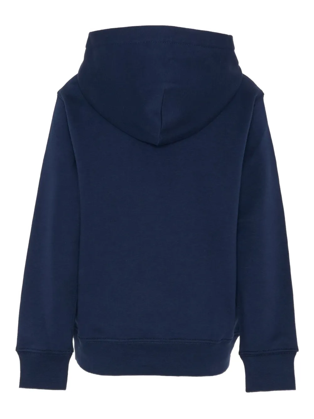 POLO RALPH LAUREN KIDS Polo Bear hoodie Blauw