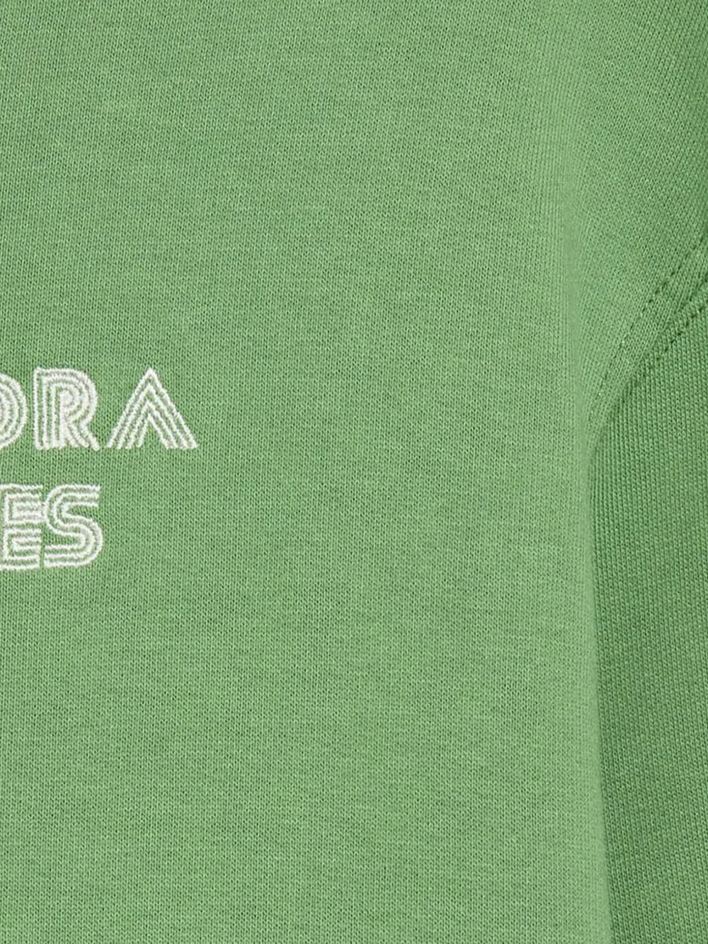Diadora Legacy hoodie met borduurwerk Groen