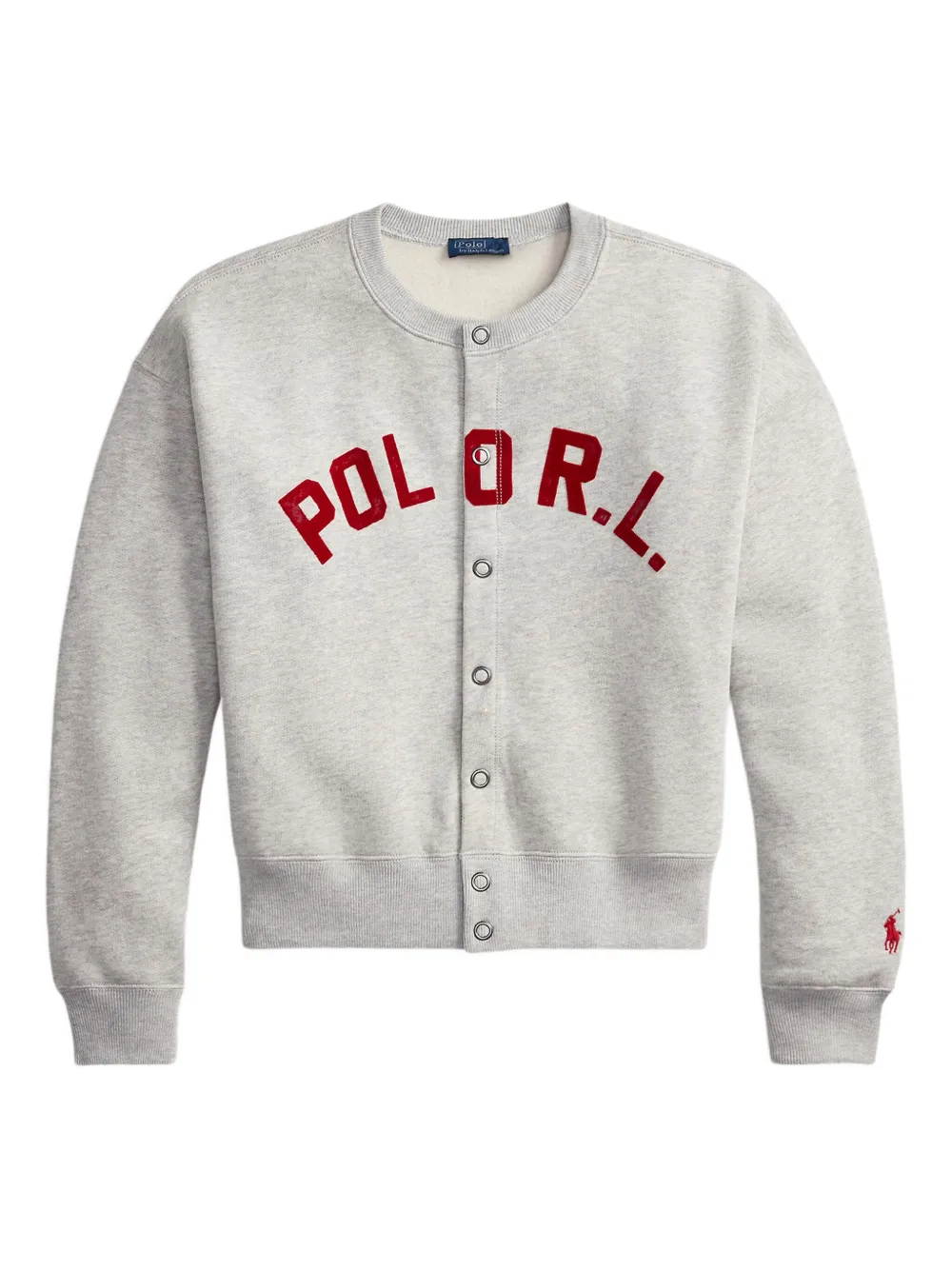 Polo Ralph Lauren Logo Fleece Sweatshirt In Multi