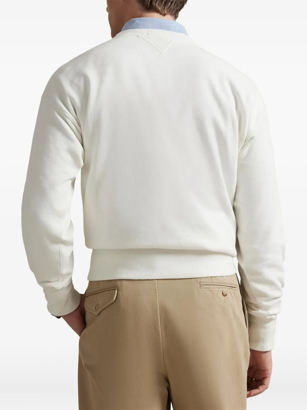 Polo Ralph Lauren Sweater met print Beige