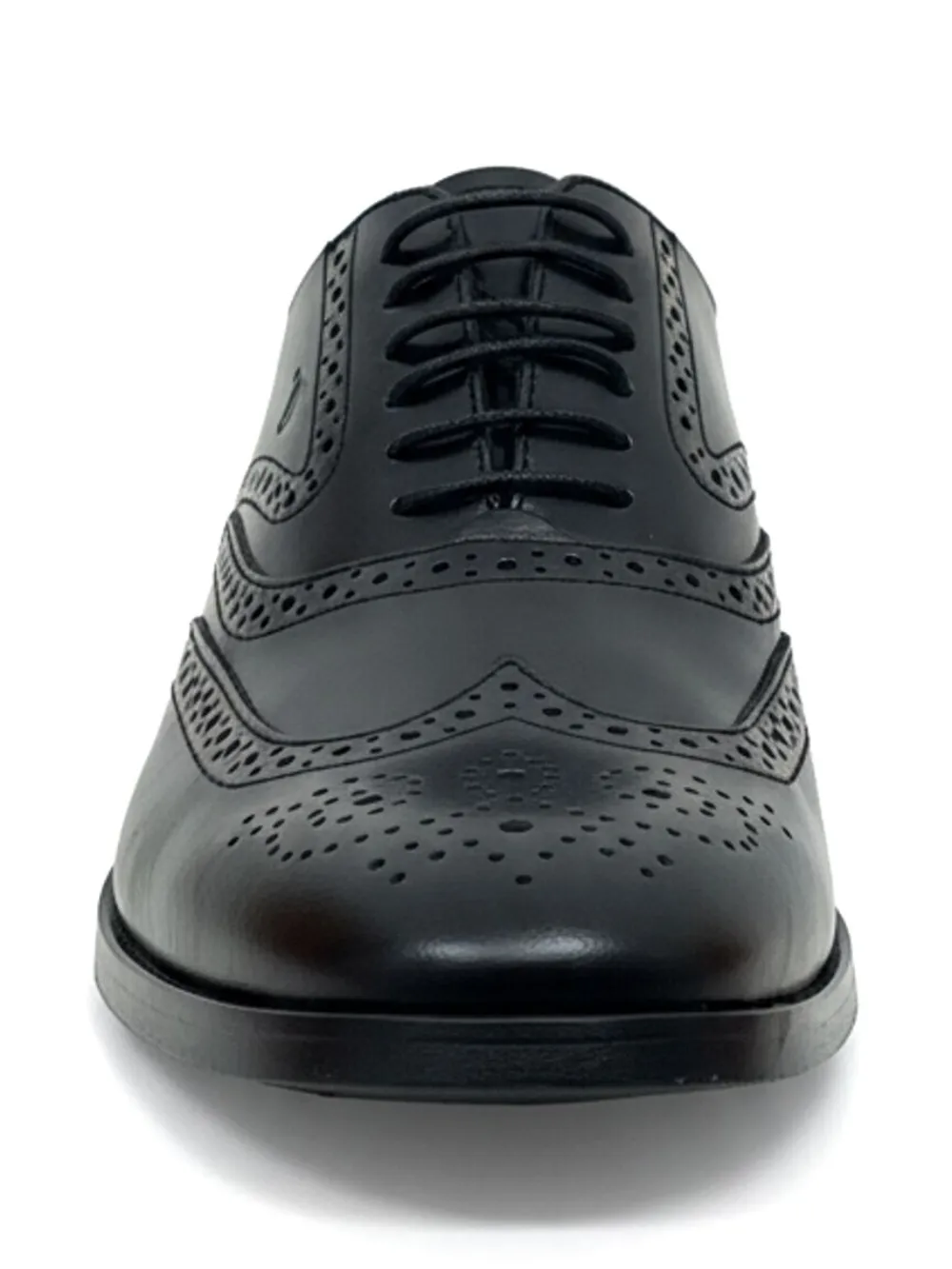 Tod's Oxford schoenen met geperforeerde details Zwart