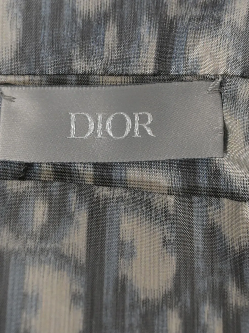 DIOR Pre-owned X Stussy Blurred-detailed Hoodie In Blue