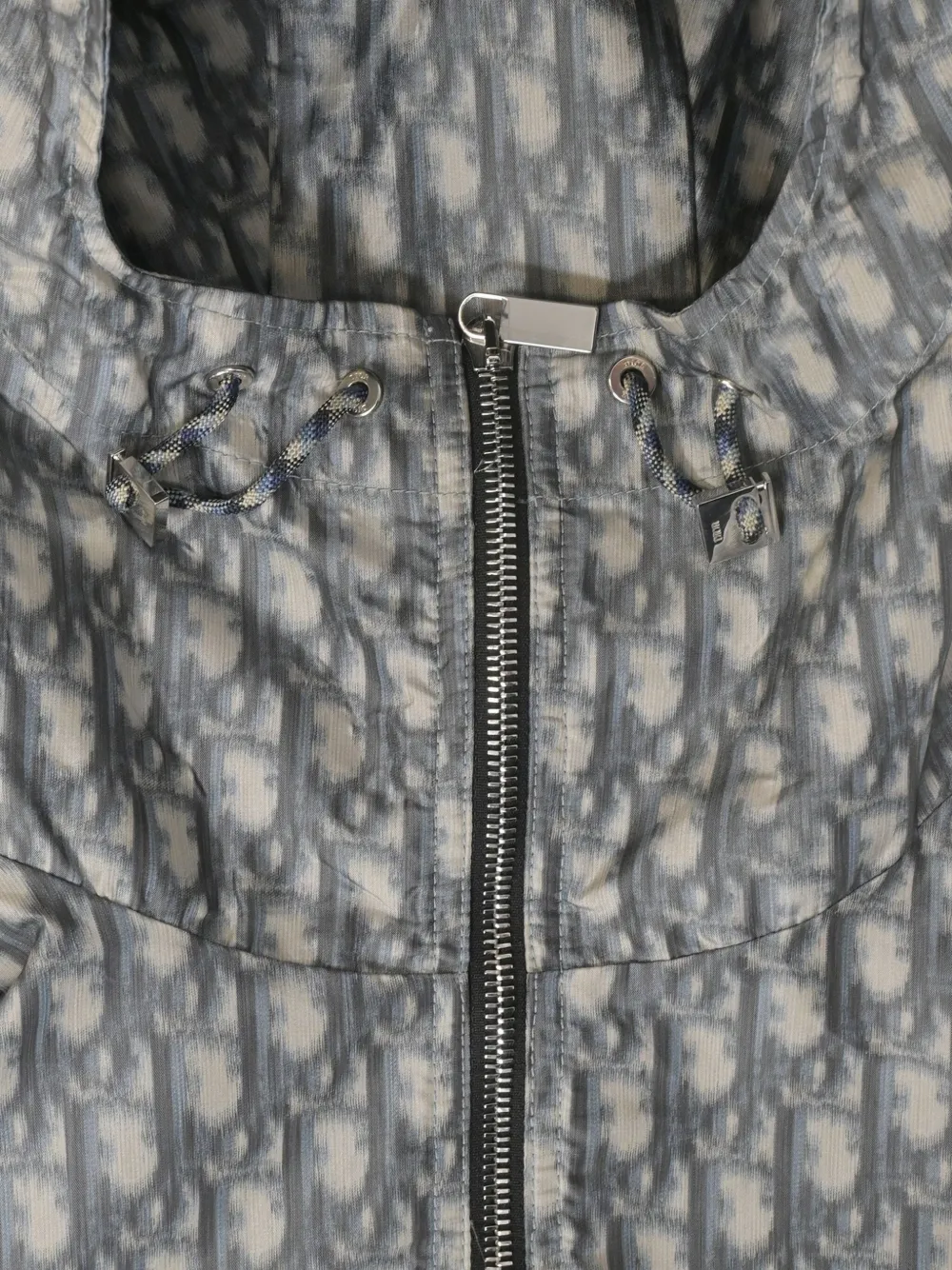 DIOR Pre-owned X Stussy Blurred-detailed Hoodie In Blue