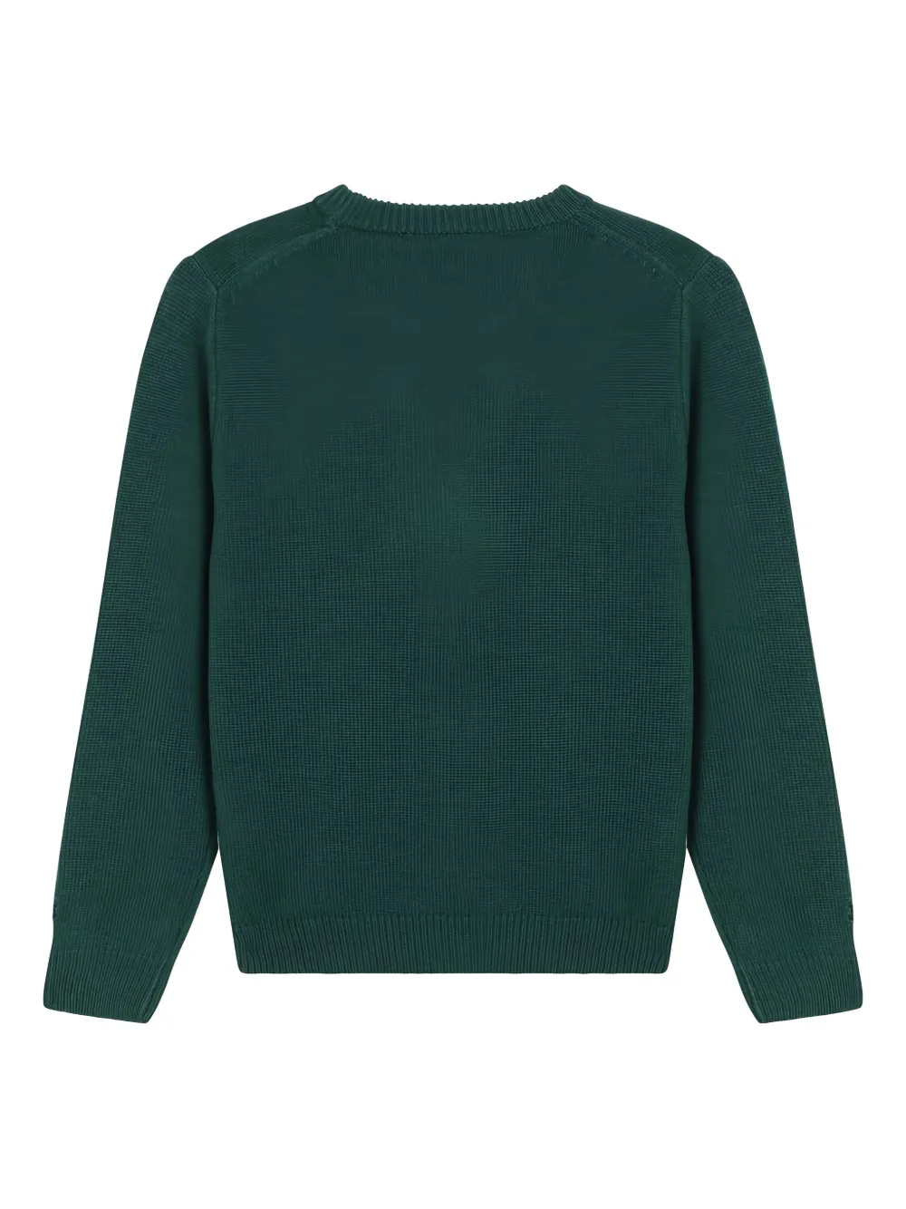 MC2 Saint Barth Kids Douglas Snoopy trui met grafische print Groen