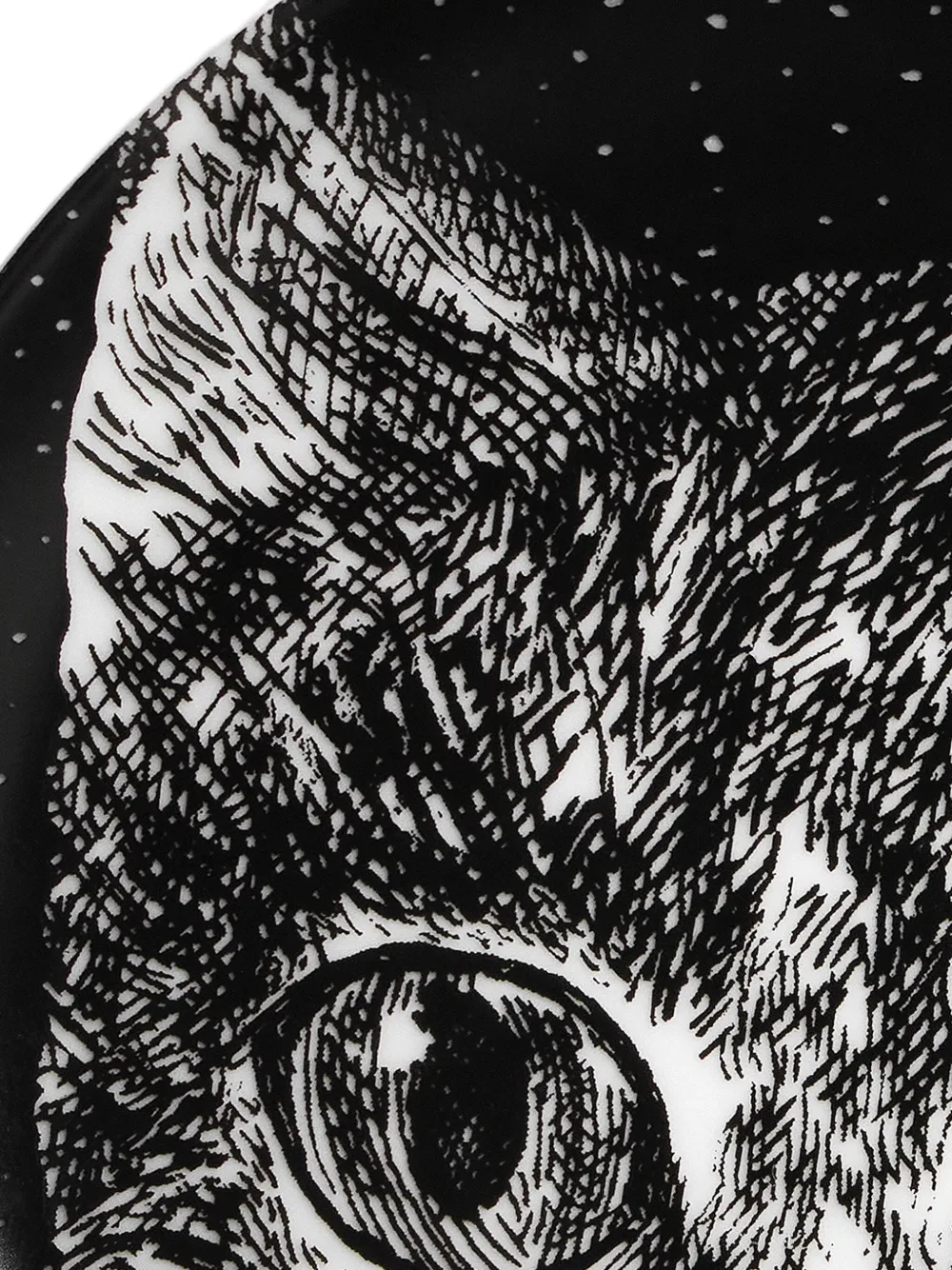 Fornasetti Cat-print Decorative Plate In White