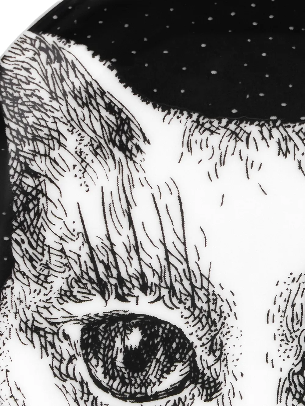 Fornasetti Cat-print Decorative Plate In Black