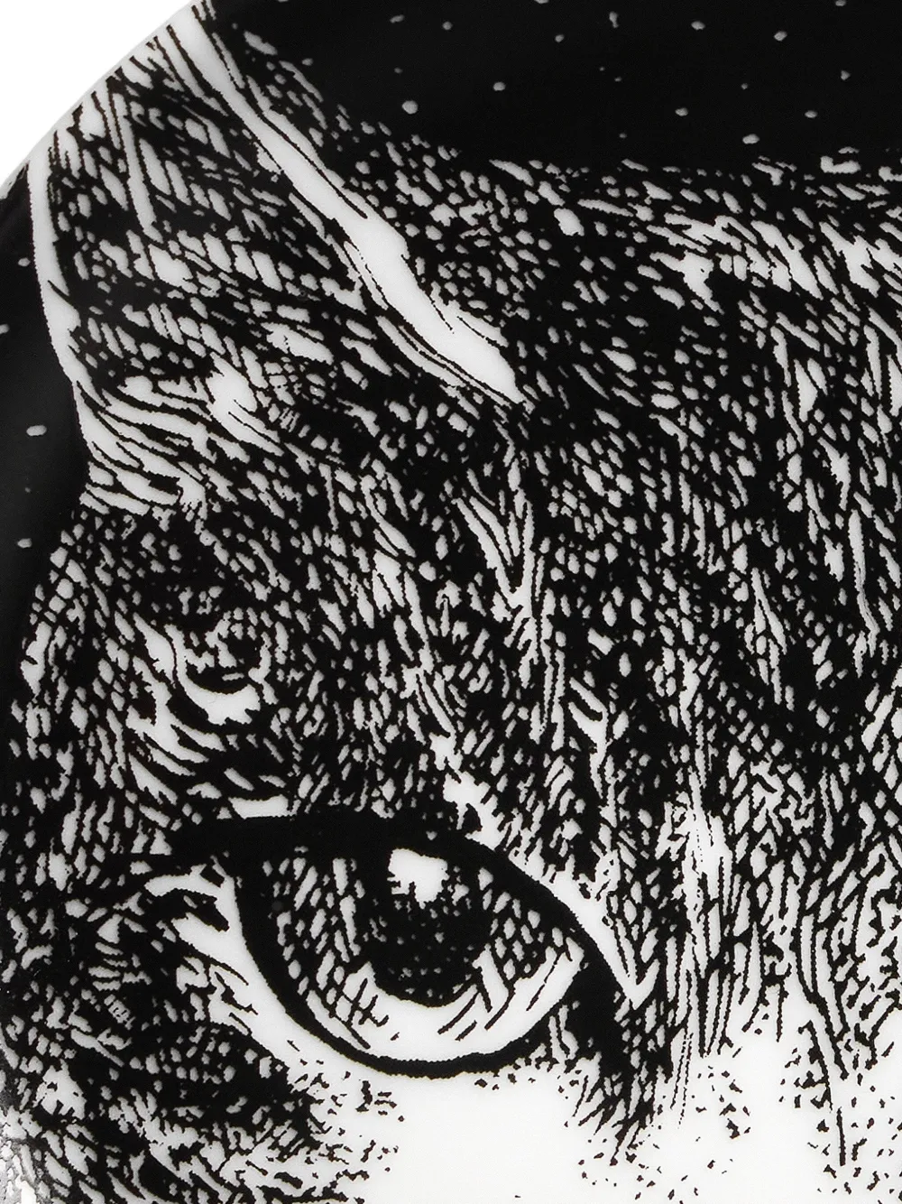 Fornasetti Cat-print Decorative Plate In Black