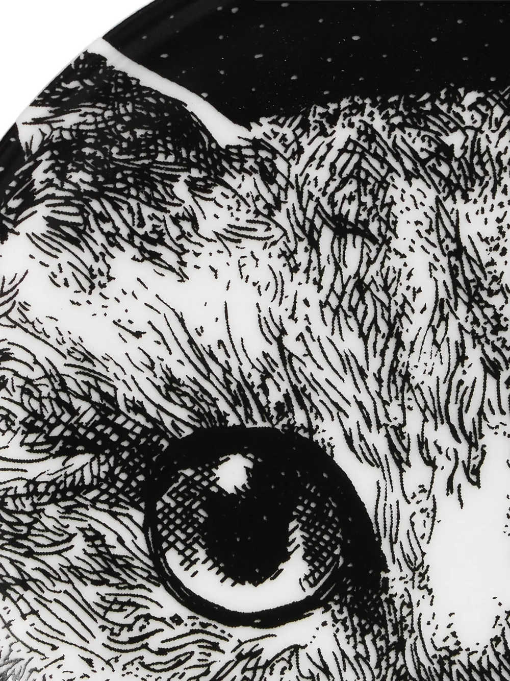 Fornasetti Cat-print Decorative Plate In Multi