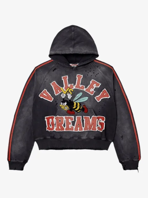 Vale Anthem distressed hoodie