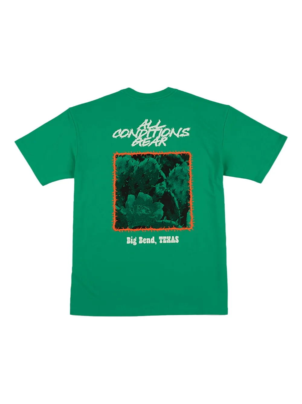 Nike ACG Cactus T-shirt - Groen