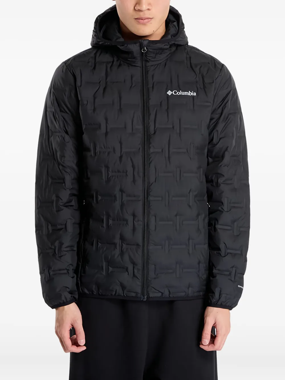 Columbia x Delta Ridge II geometric pattern hooded jacket | Preto | Image 1