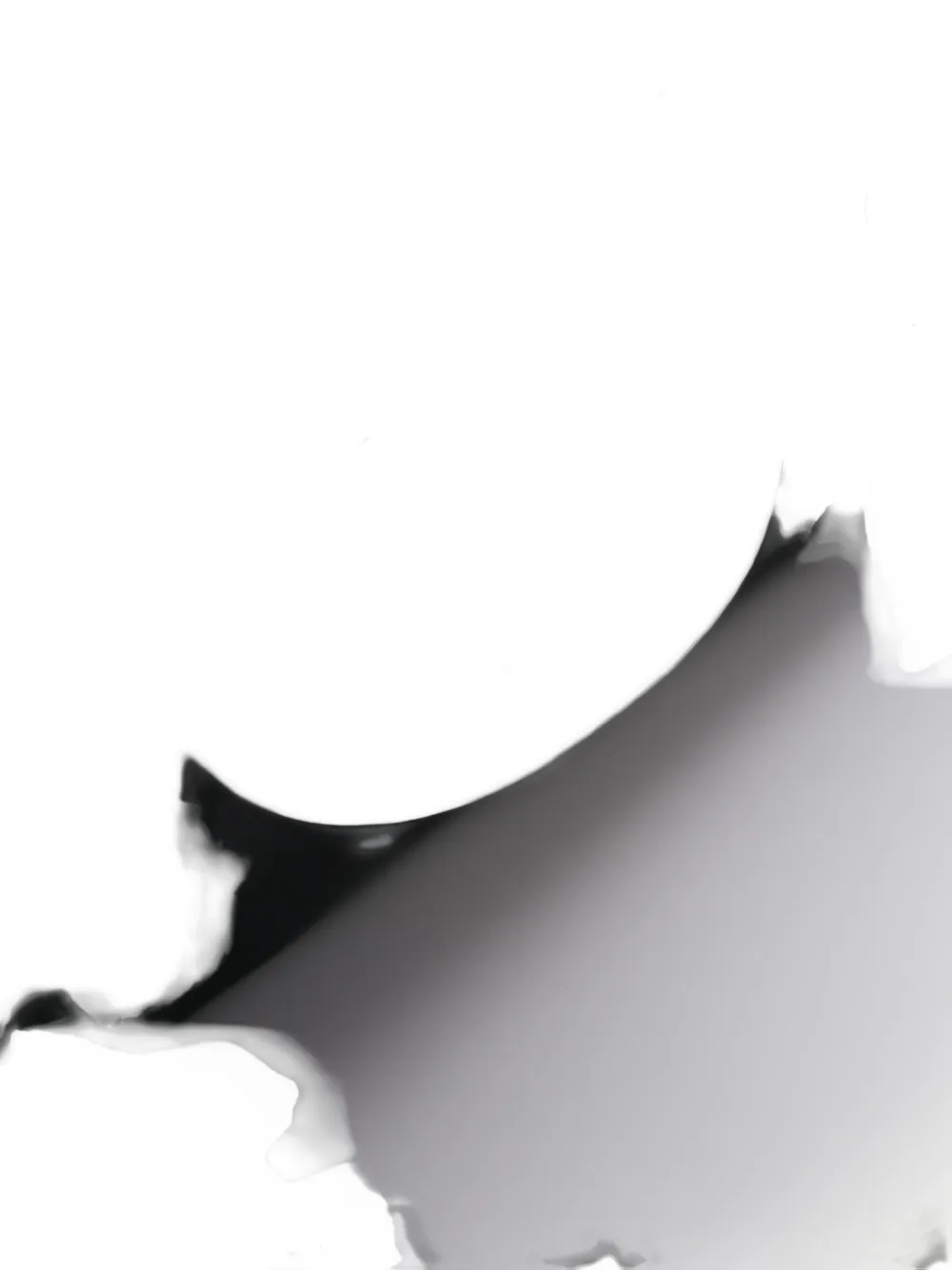 Pre-owned Chanel 2020-2021 Double Flap Shoulder Bag In Black