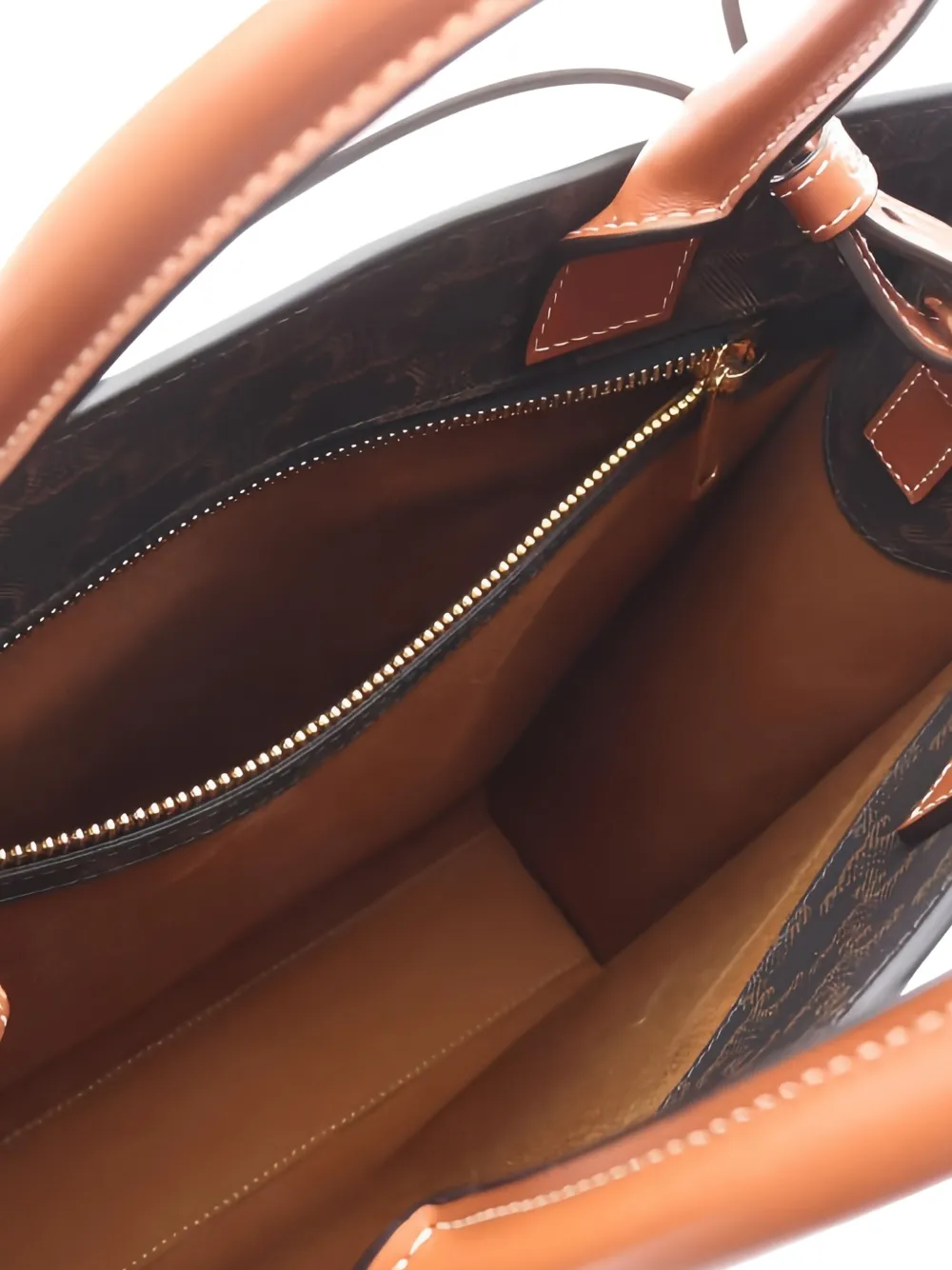 2010's Triomphe Vertical Tote Bag