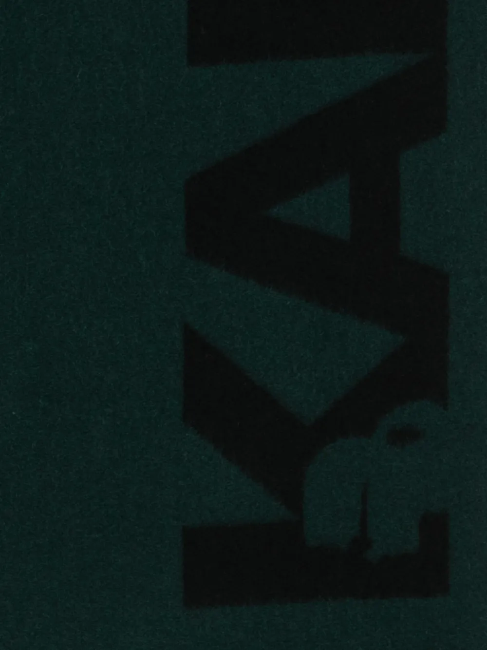 Karl Lagerfeld Fringed Logo-detal Scarf In Green