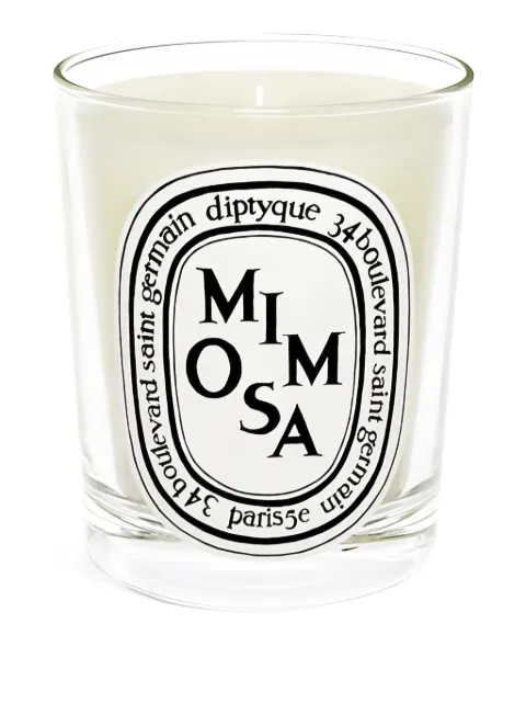 Diptyque Mimosa classic-model candle (190g)