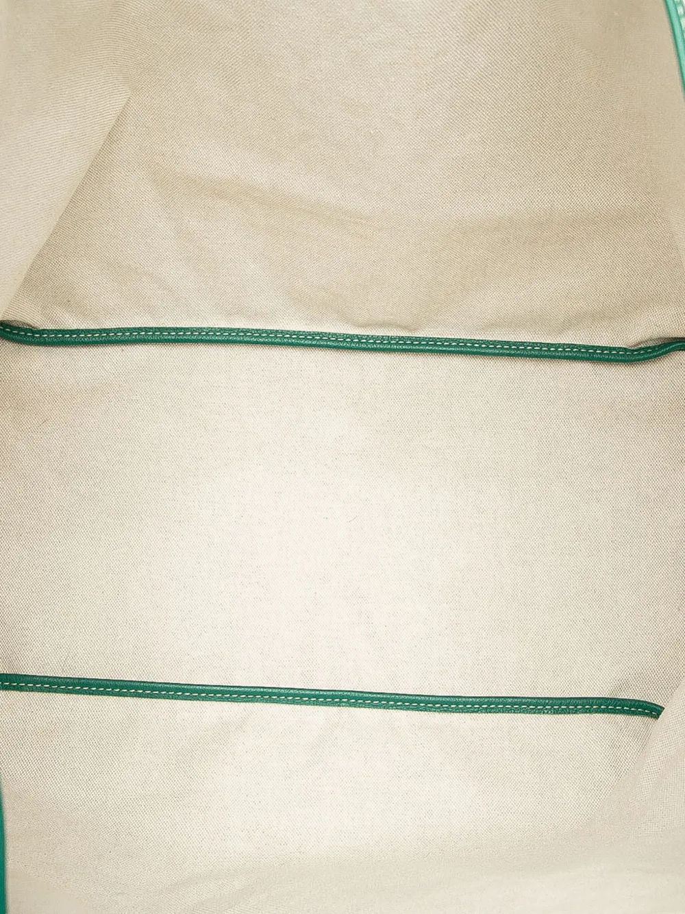 Pre-owned Goyard 2019 Ine Saint Louis Gm Tote Bag In Green