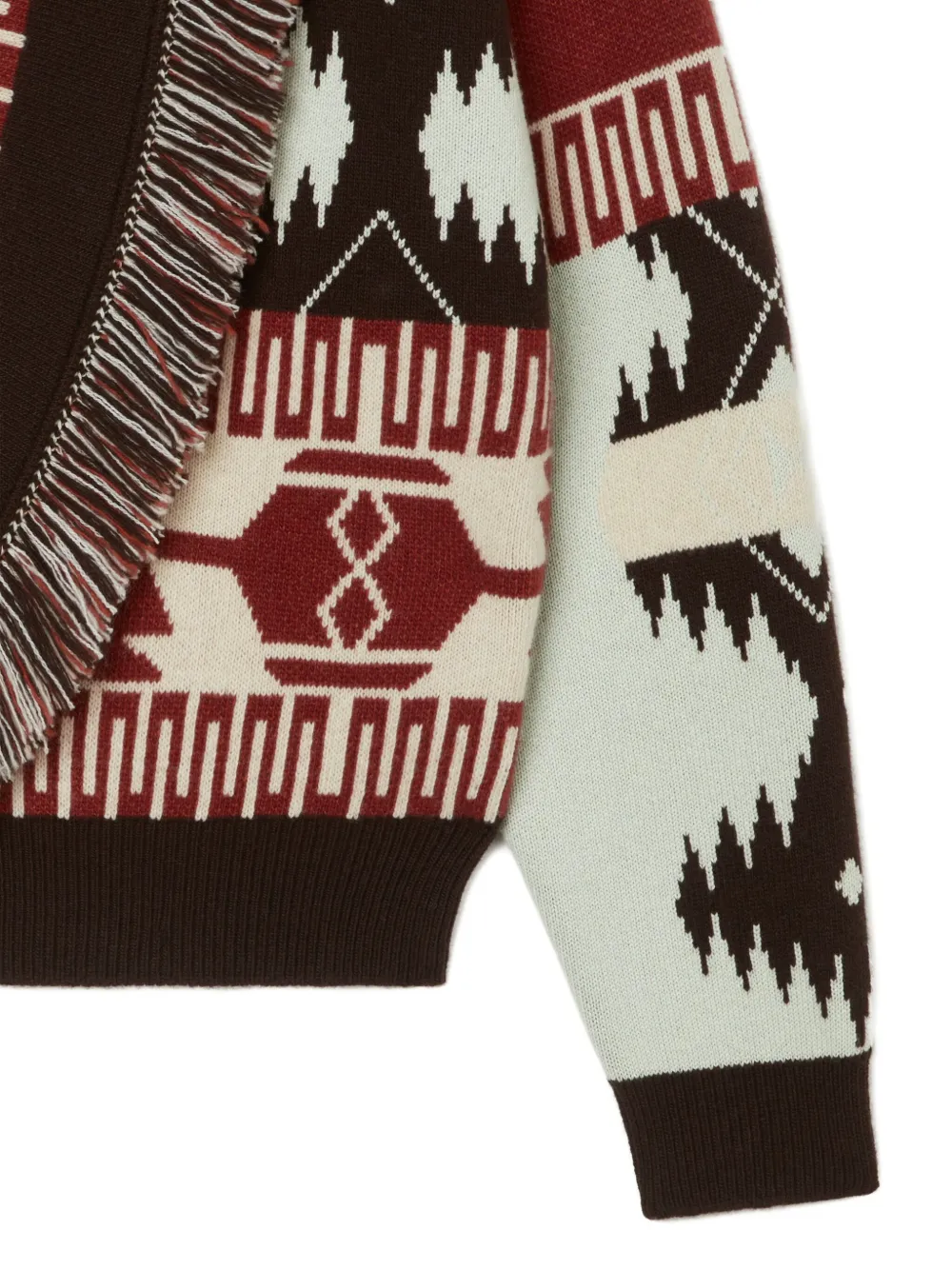 Alanui Icon Thistles Knitwear Geometric Fringe Ribbed In Brown