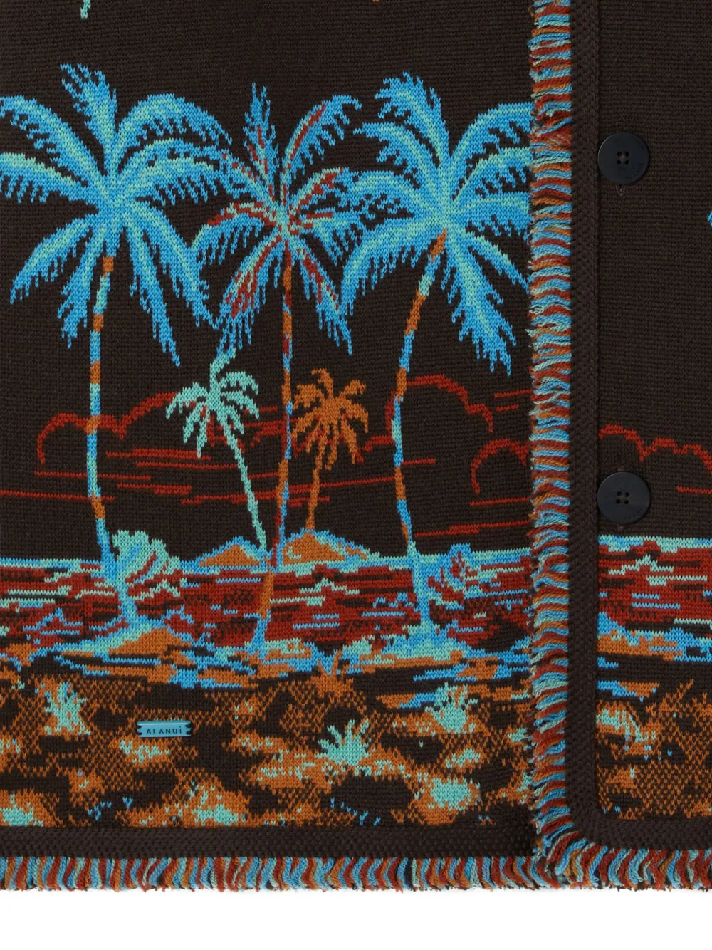 Alanui Tale Of Hawaiian vest met franje Bruin