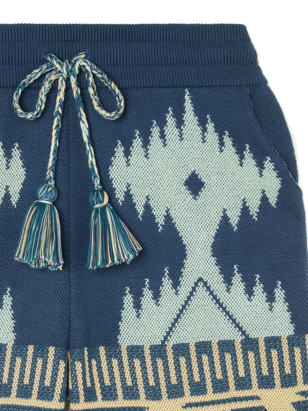 Alanui Icon shorts met kwastjes Blauw