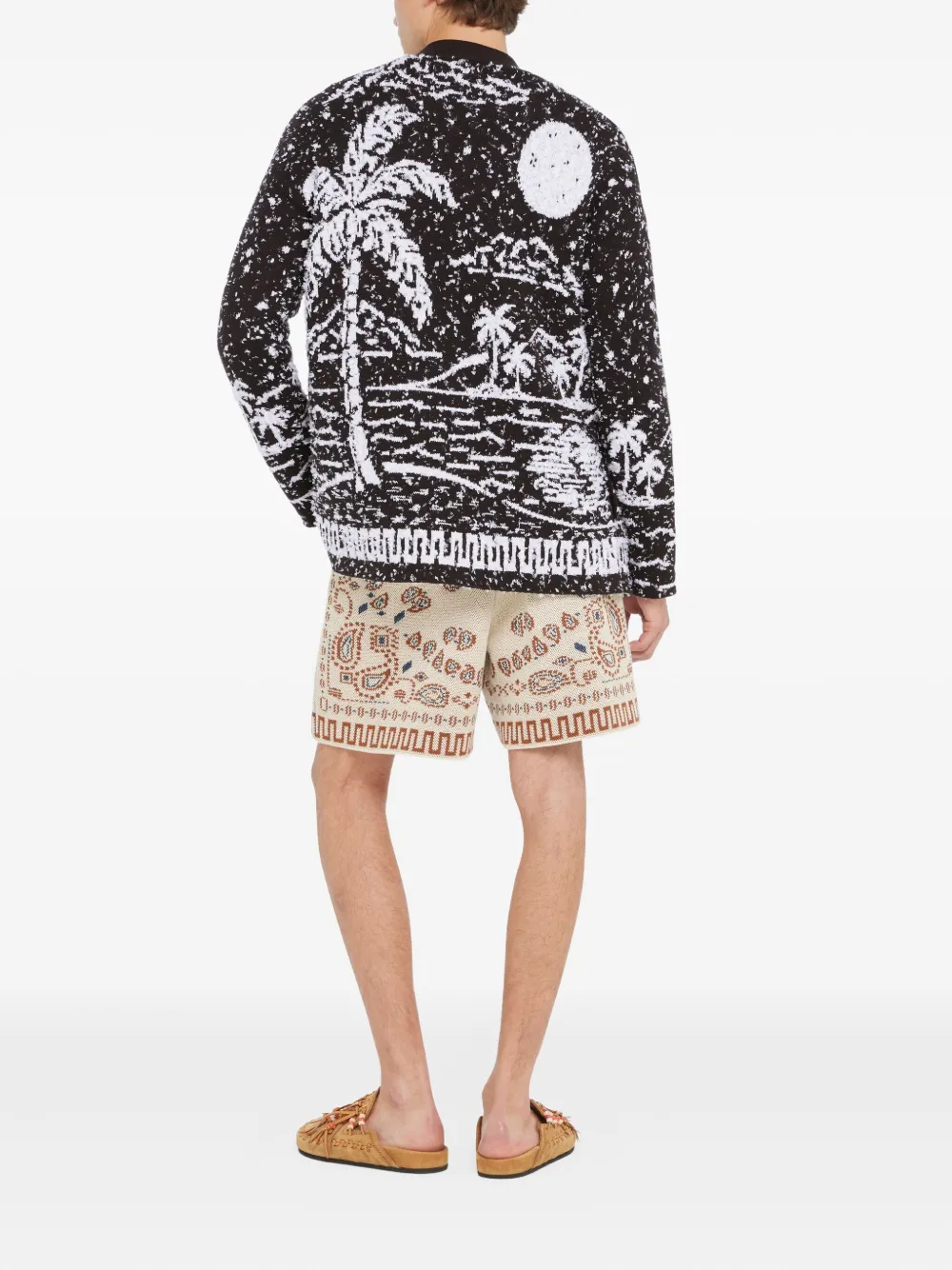 Alanui Ocean Whispers vest met grafische palmboomprint Zwart