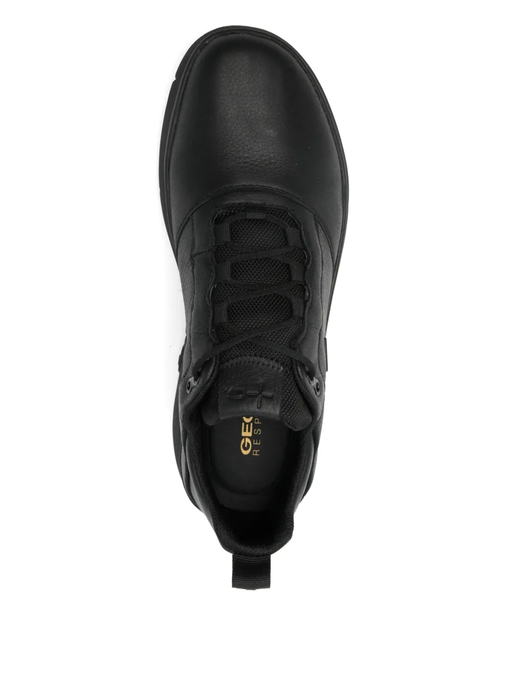 Geox Nebula Leisure Trainer In Multi