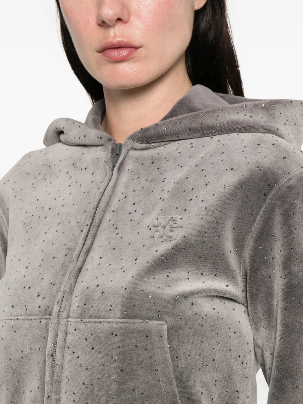 Alexander Wang Embellished Hooded Sweater In Gray