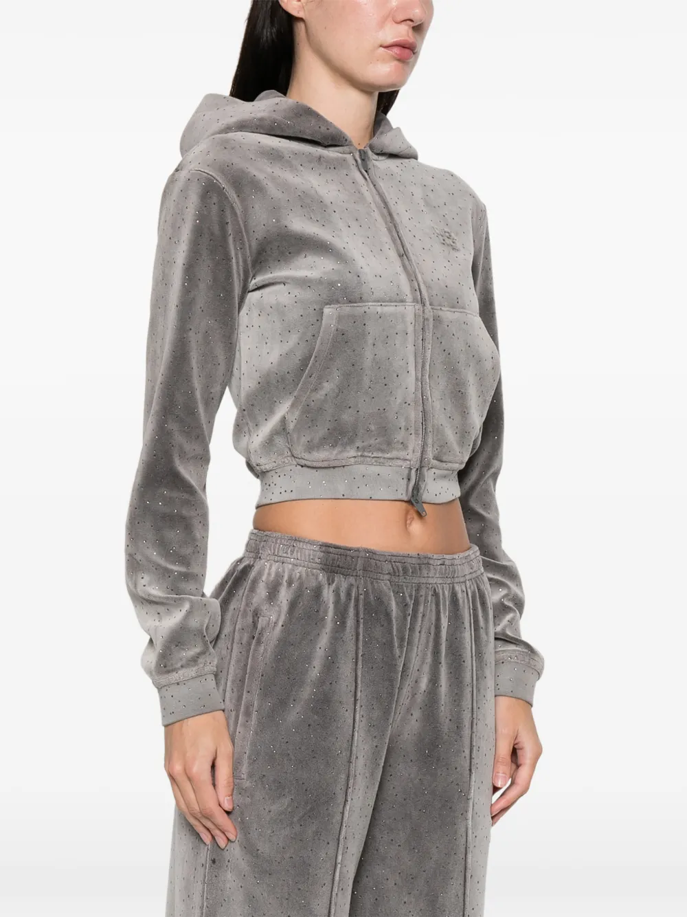 Alexander Wang Embellished Hooded Sweater In Gray
