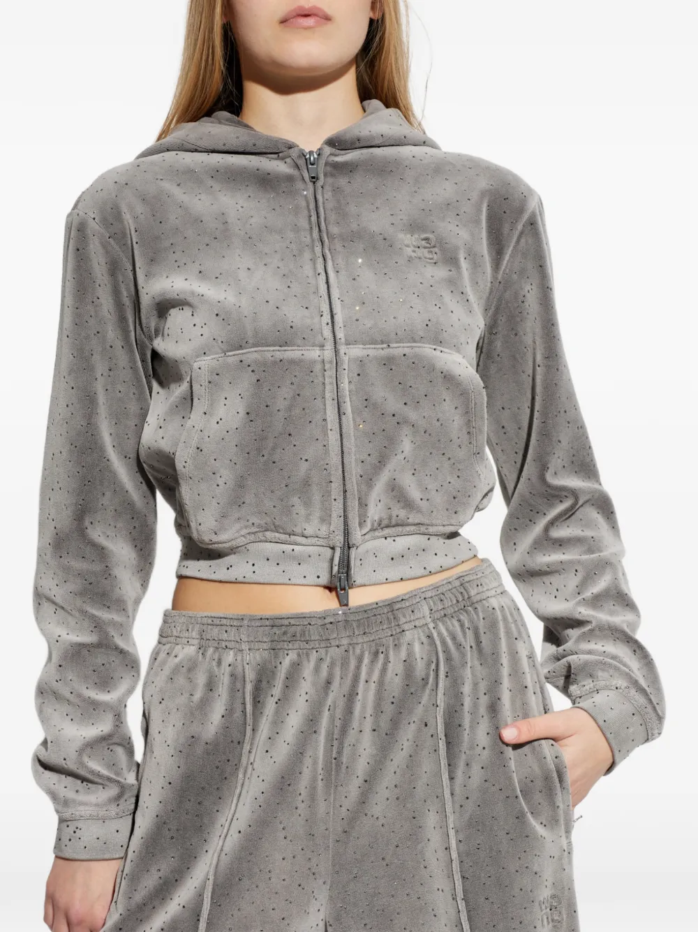 Alexander Wang Verfraaide trui met capuchon Grijs