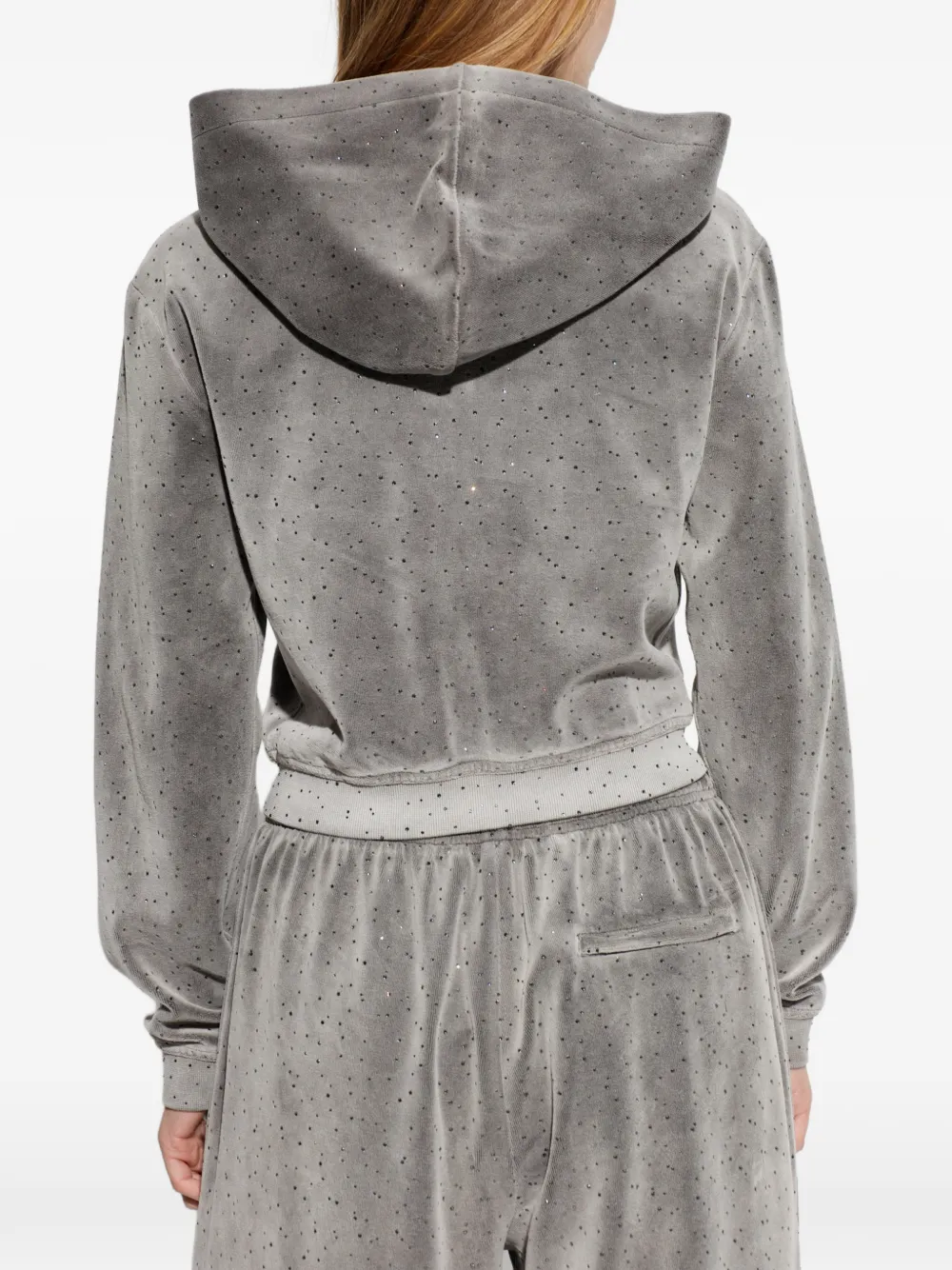 Alexander Wang Verfraaide trui met capuchon Grijs