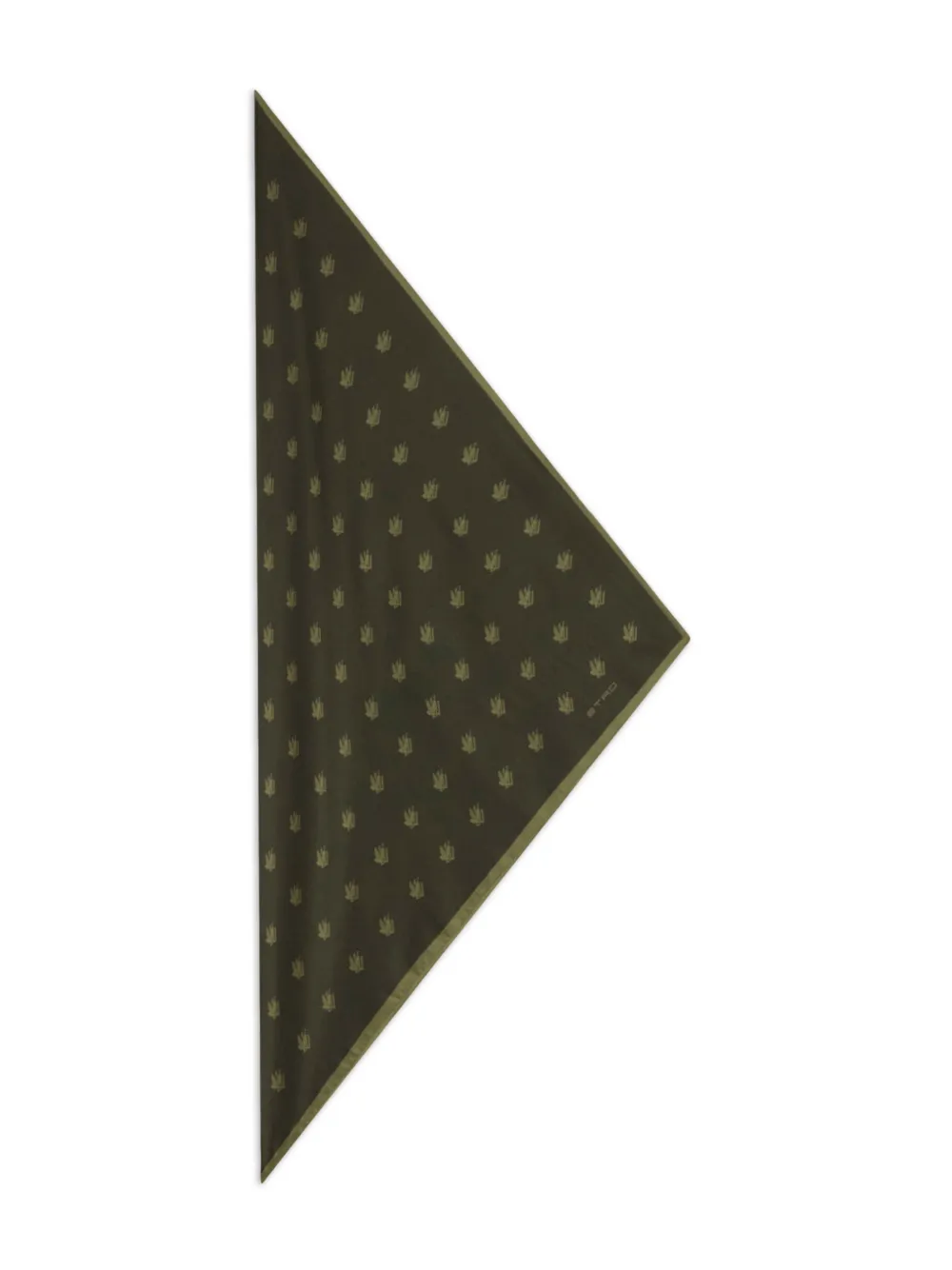 ETRO Sjaal met paisley-patroon - Groen