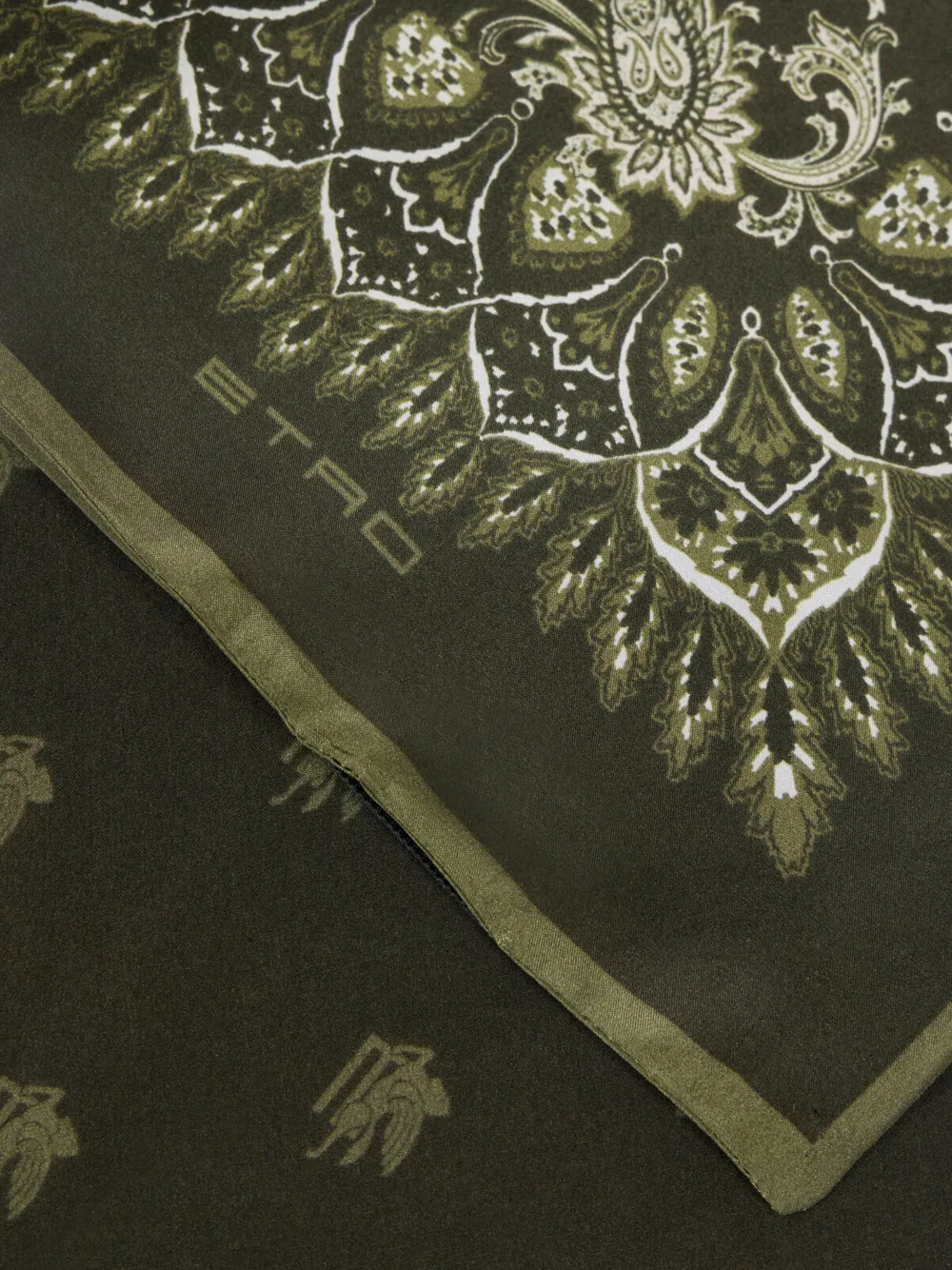  Etro Paisley-pattern Scarf - Green 