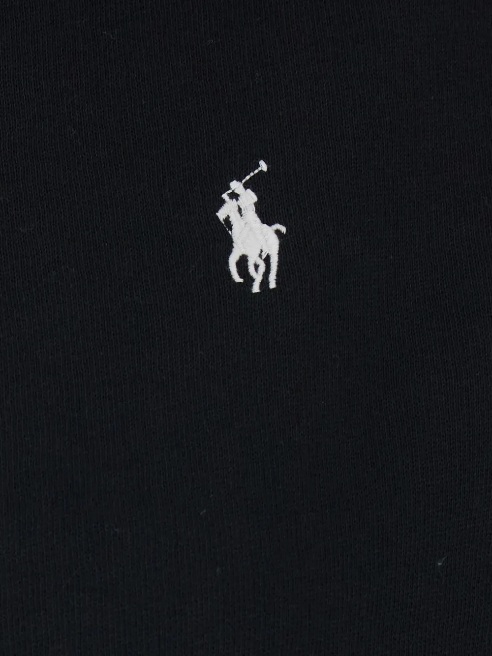 Polo Ralph Lauren Hoodie met rits Zwart