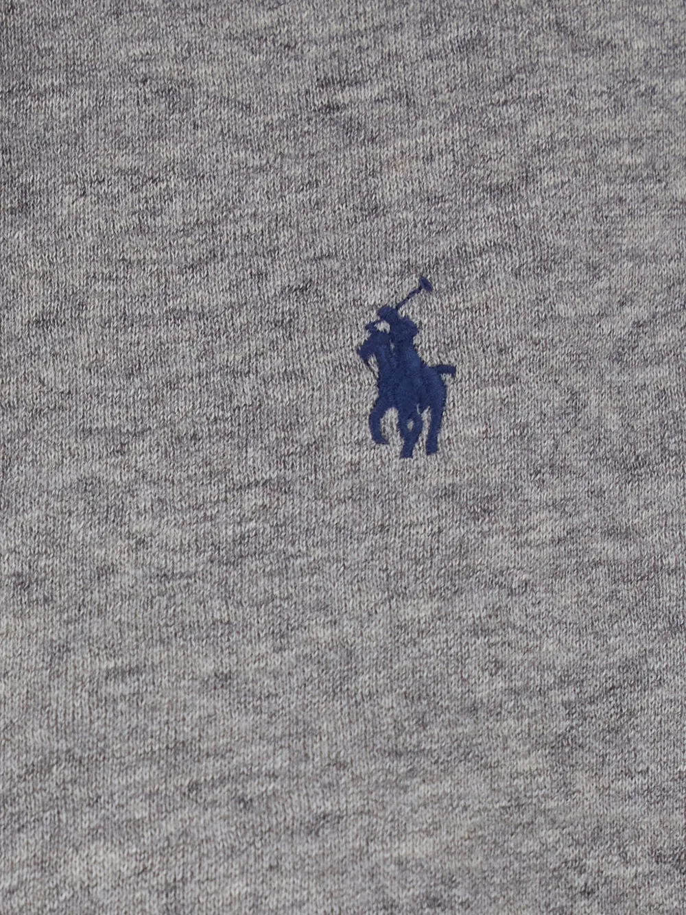 Polo Ralph Lauren Hoodie met geborduurd logo Grijs