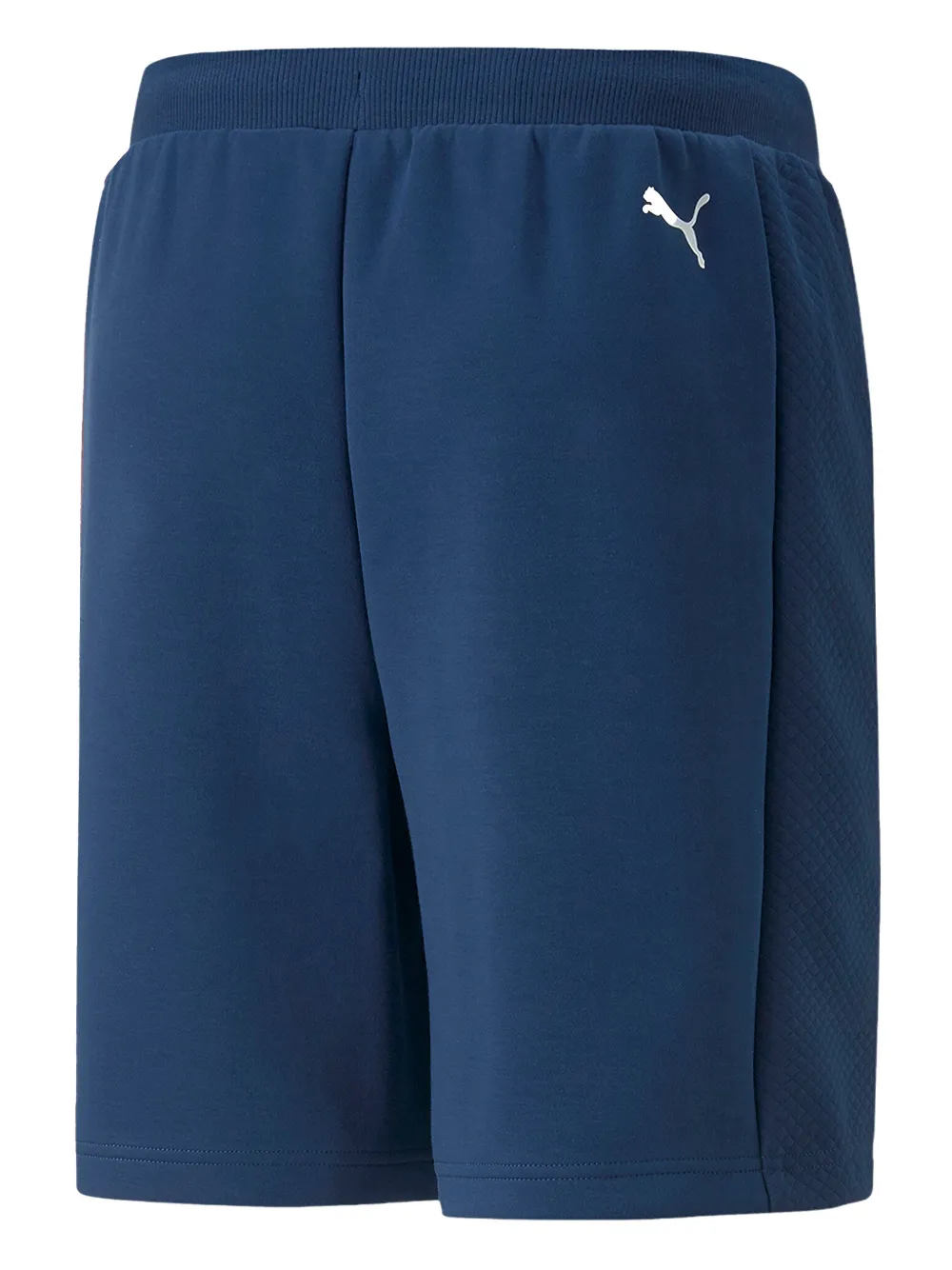 PUMA BMW Motorsport shorts - Blu