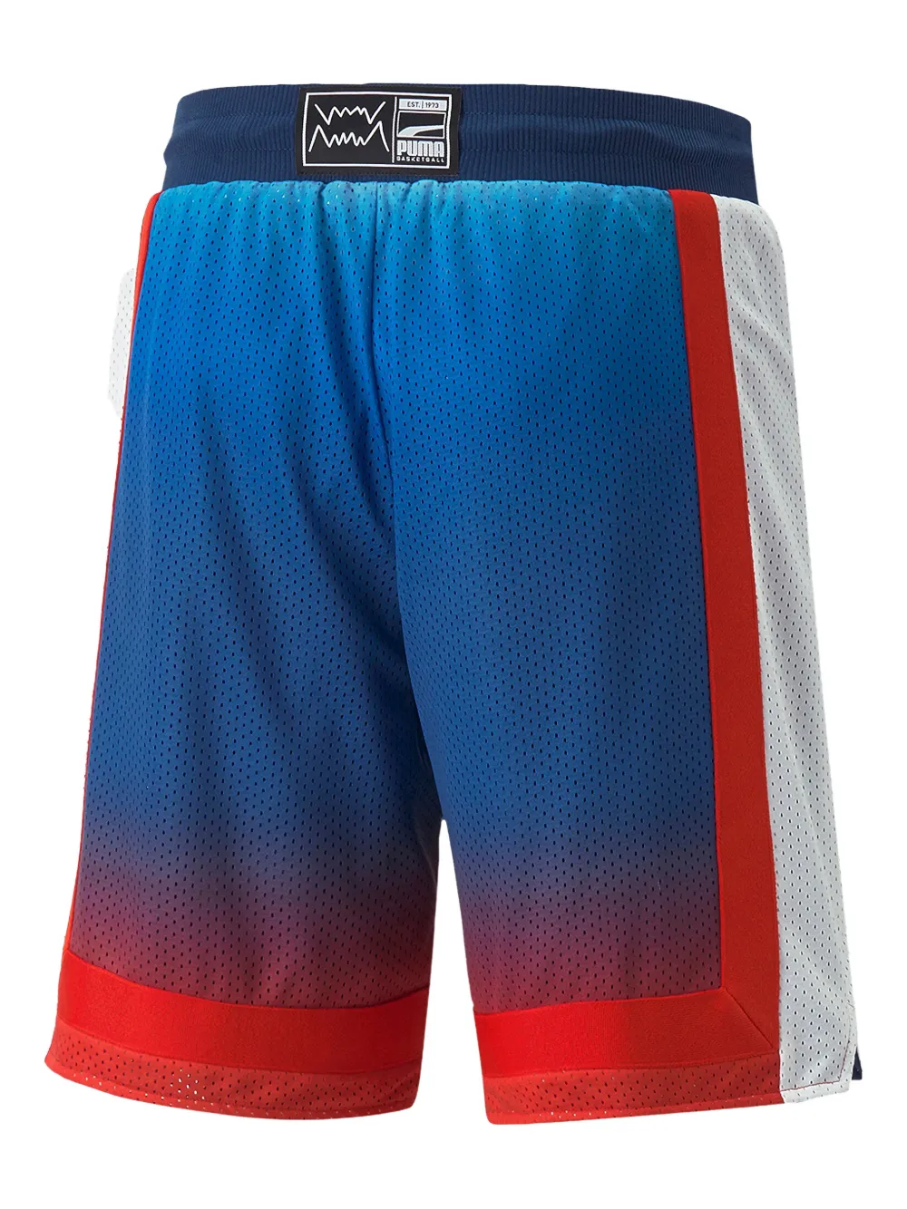 PUMA x BMW M Motorsport retro shorts Blauw