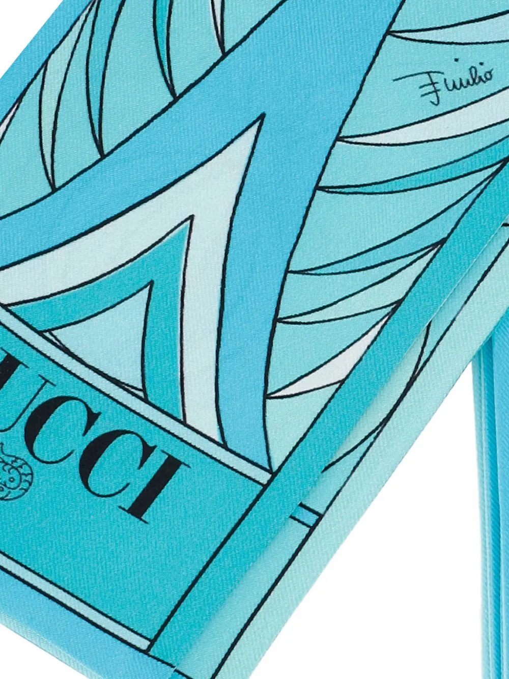 Pucci Printed Scarf In Blue