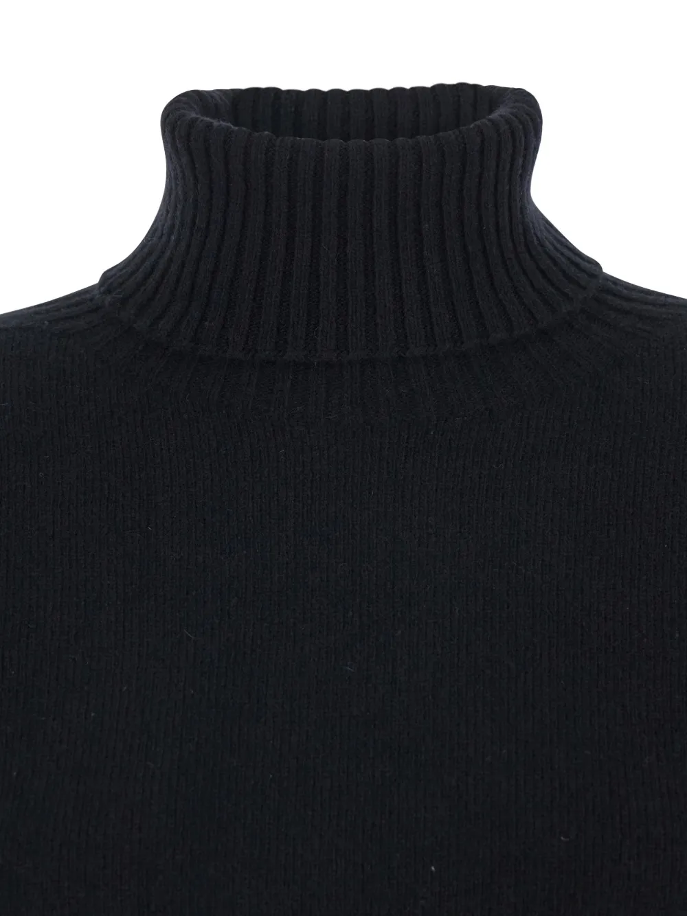 Grifoni Turtleneck Ribbed Sweater In Black