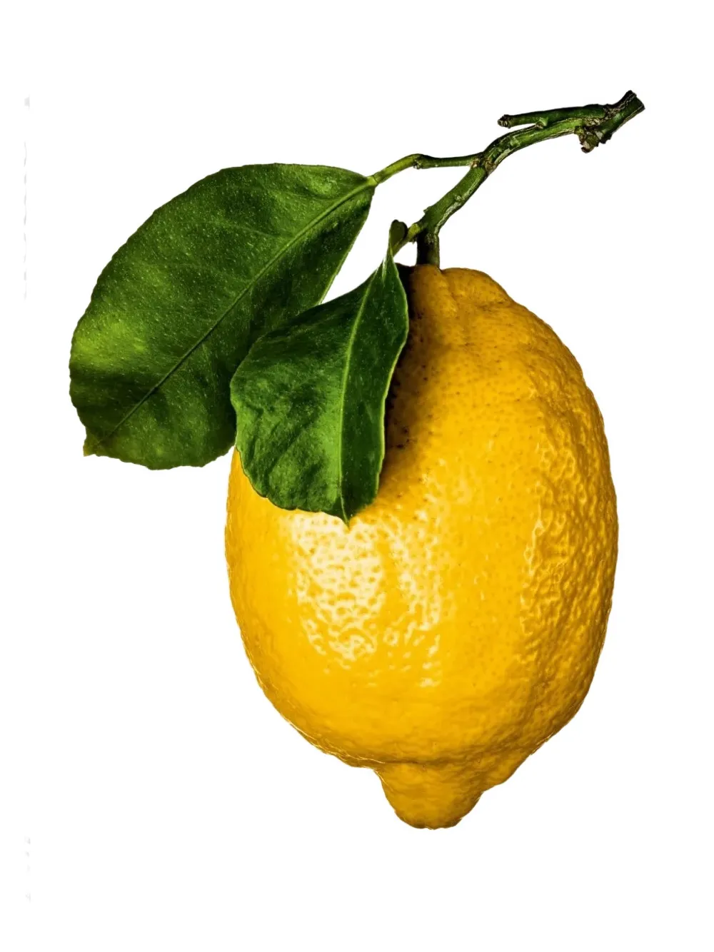 TASCHEN Gourmand's Lemon book | White | Image 1